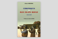 visuel_article_chroniques_bleu_blanc_rouge_lili_ecritures